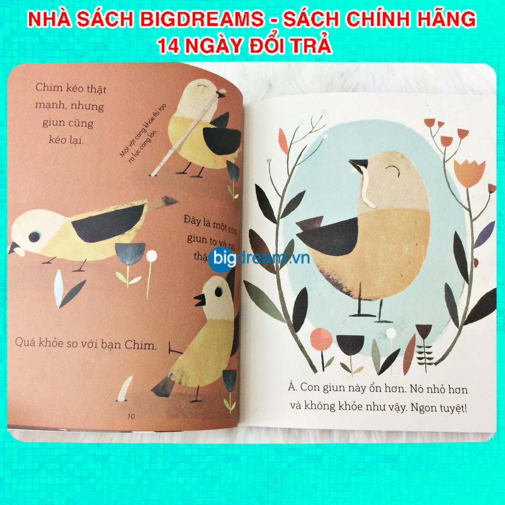 Câu chuyện khoa học A Science Storybook Bộ 4 quyển Truyện kể cho bé trước giờ đi ngủ phát triển tư duy