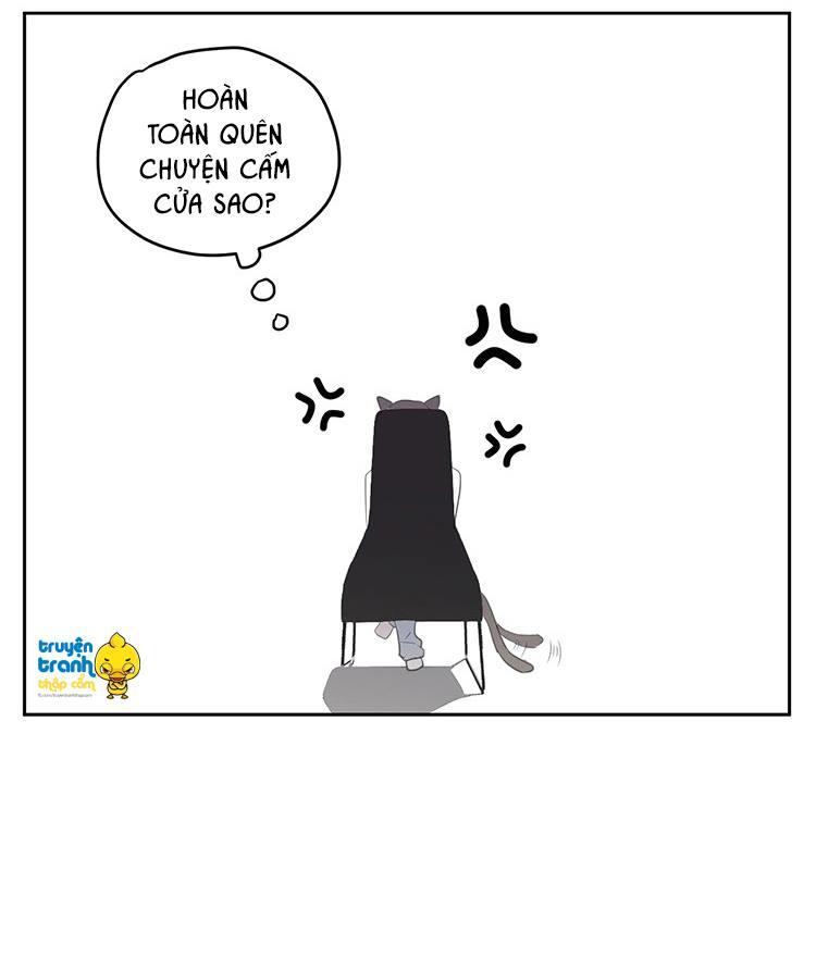 cứu mạng ! loài mèo thống trị thế giới rồi ! chapter 18 11