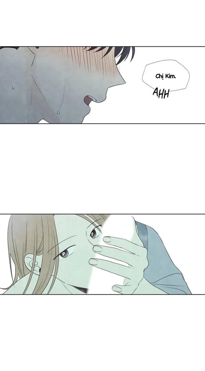 summer solstice point chapter 23 24