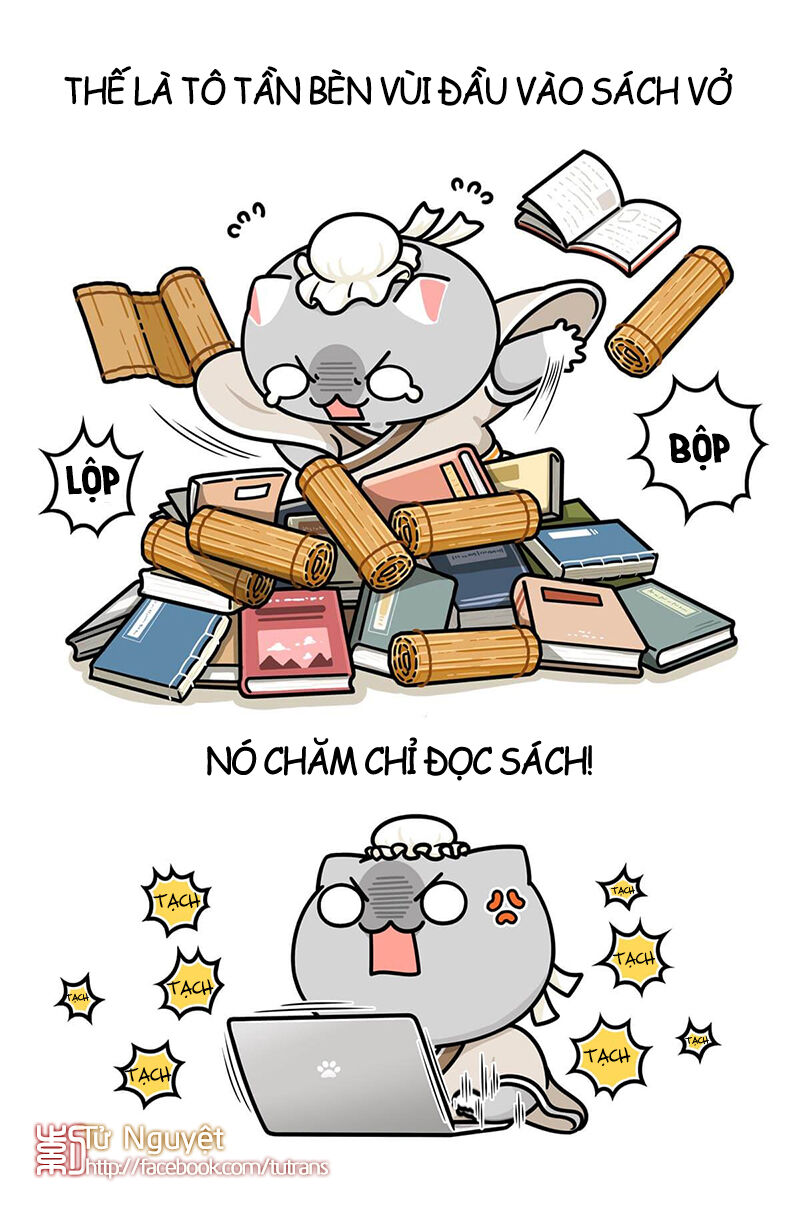 nếu lịch sử là một bầy mèo chapter 21 15