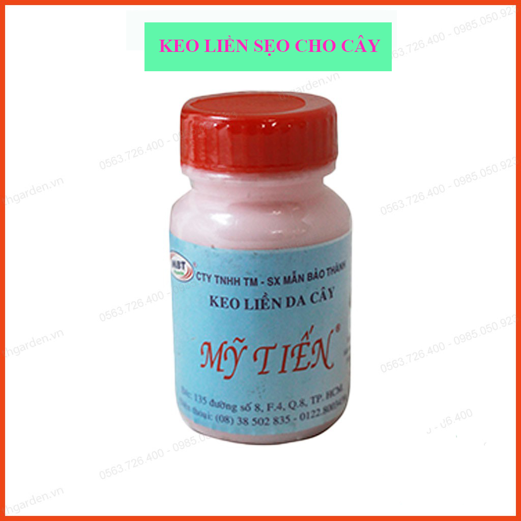 Keo Liền Da Cây Mỹ Tiến 100g- Thuốc Hỗ Trợ Chiết Cành - Keo liền sẹo