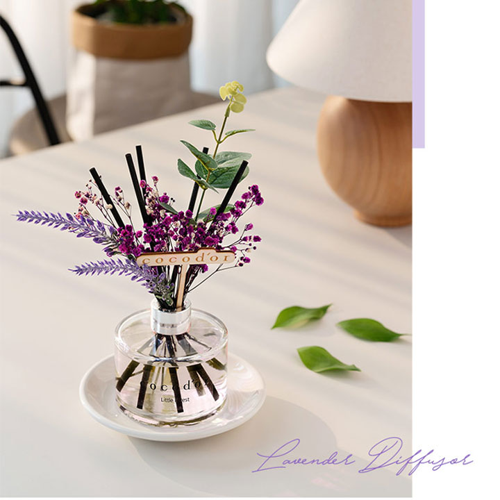 Tinh dầu tán hương COCOD’OR REED DIFFUSER LAVENDER 120ml