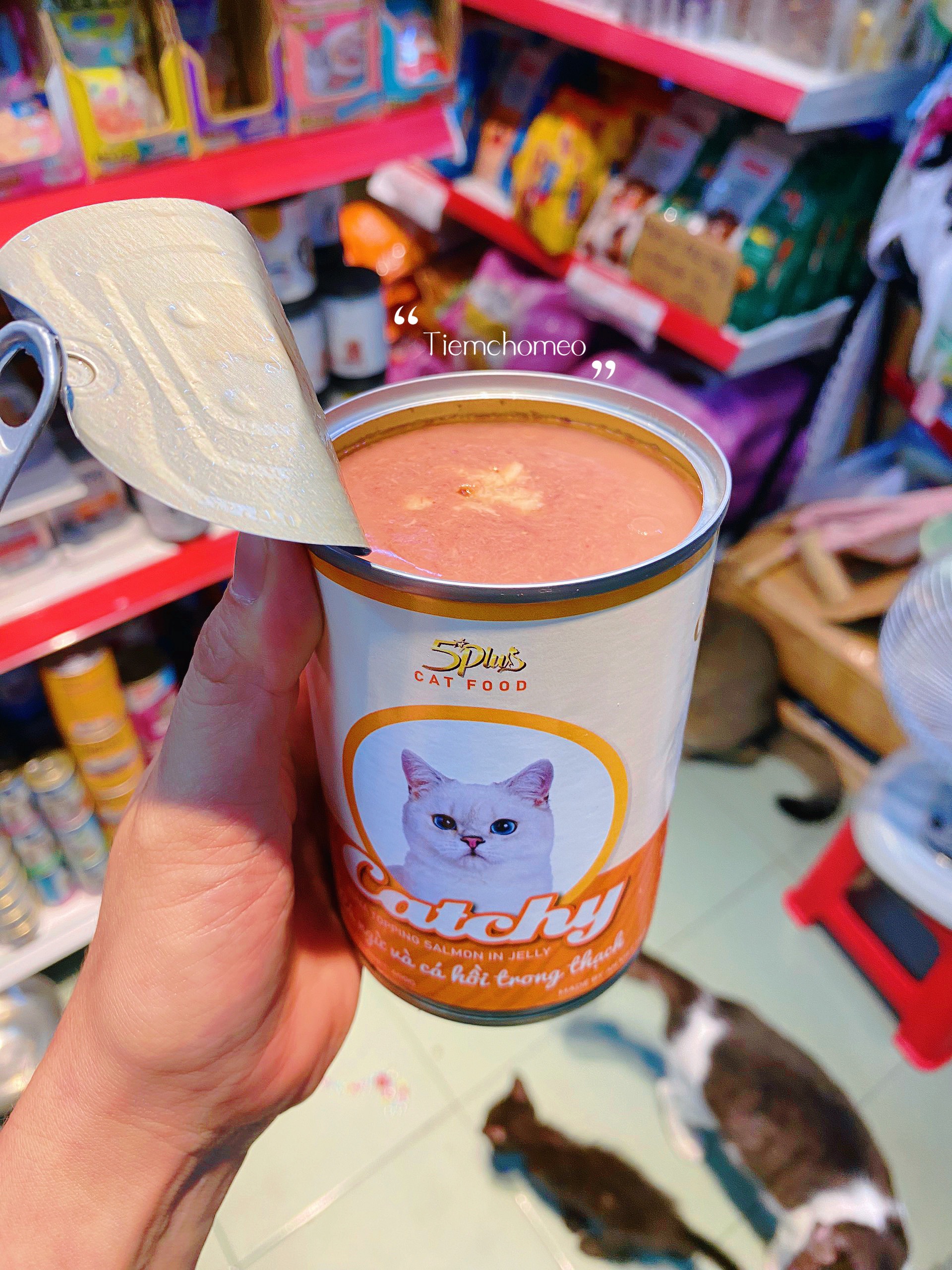 PATE CATCHY DÀNH CHO MÈO LON 400G