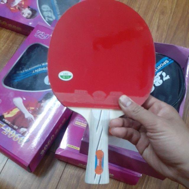 Vợt bóng bàn 729-2060