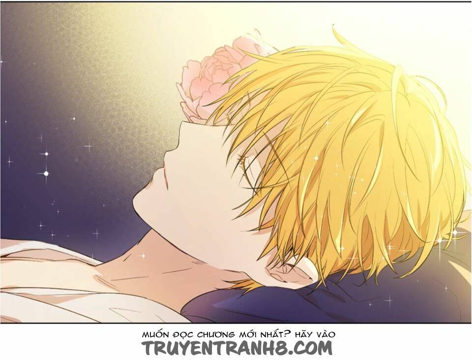 trọng sinh công chúa đích tái thứ: hoàng đế bệ hạ xin đừng giết ta chapter 0 11