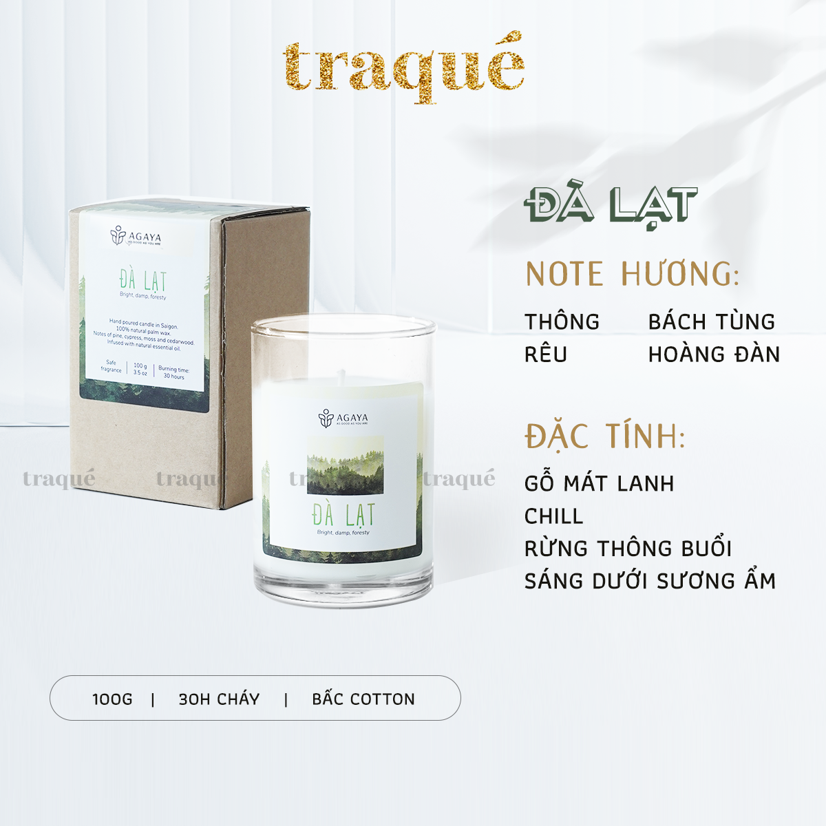 Nến thơm Candle Cup/Agaya - Hương Gỗ ĐÀ LẠT