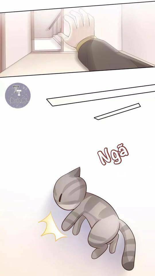 thị hoang chi thần chapter 19 26