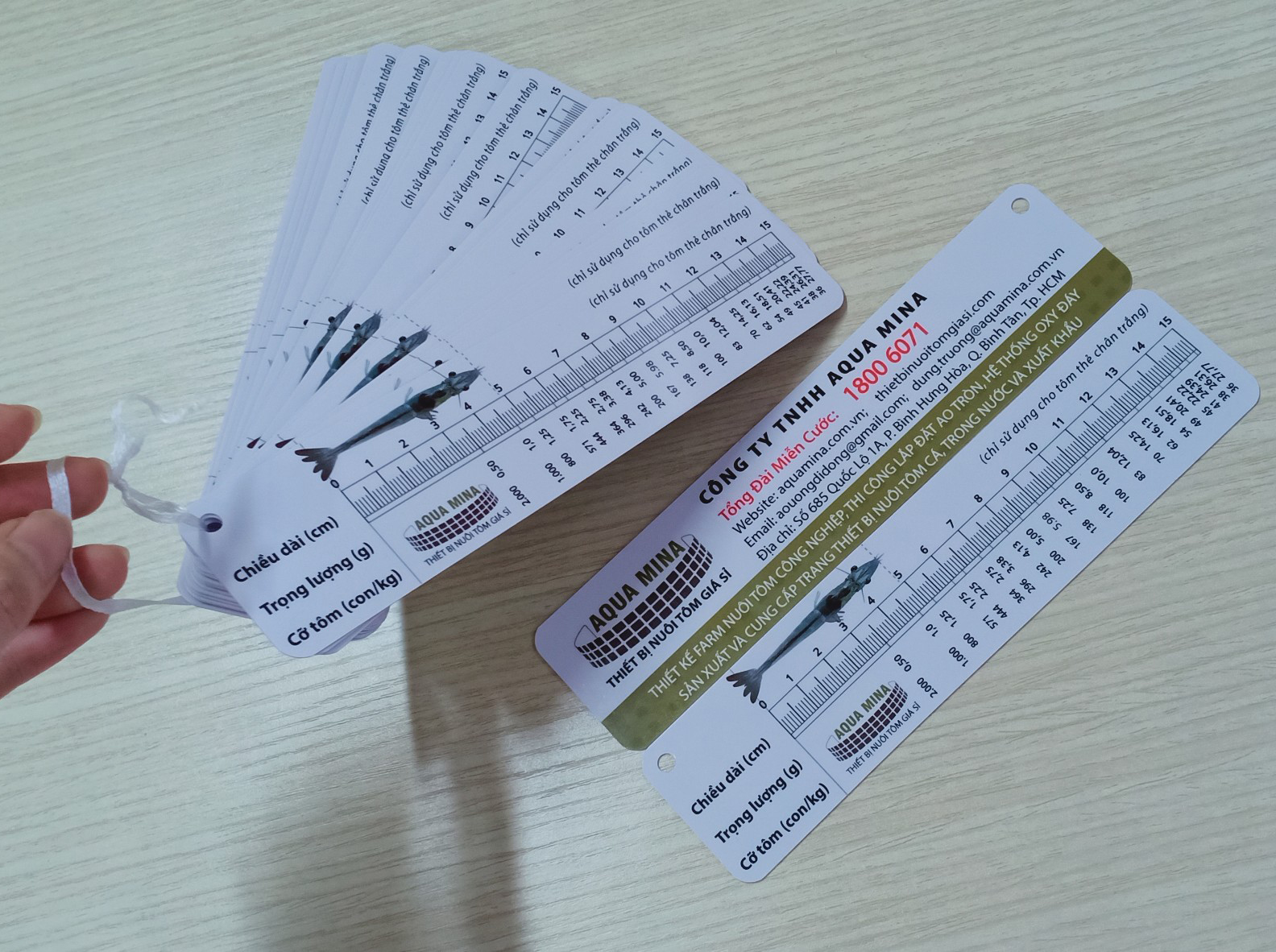 2 Cây thước đo tôm thẻ bằng nhựa