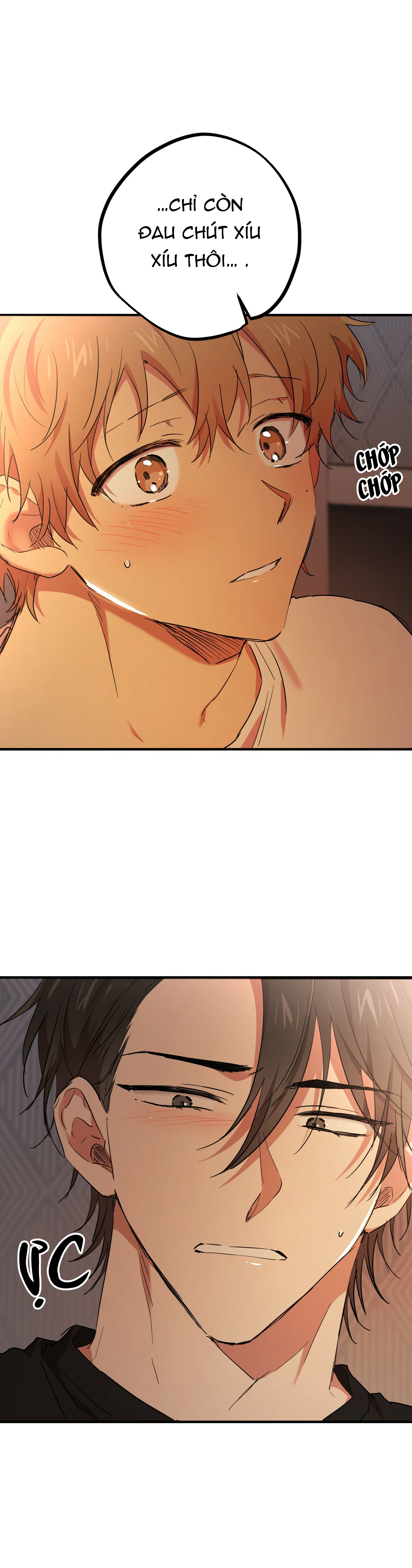 những chú thỏ của hapypy chapter 14 9