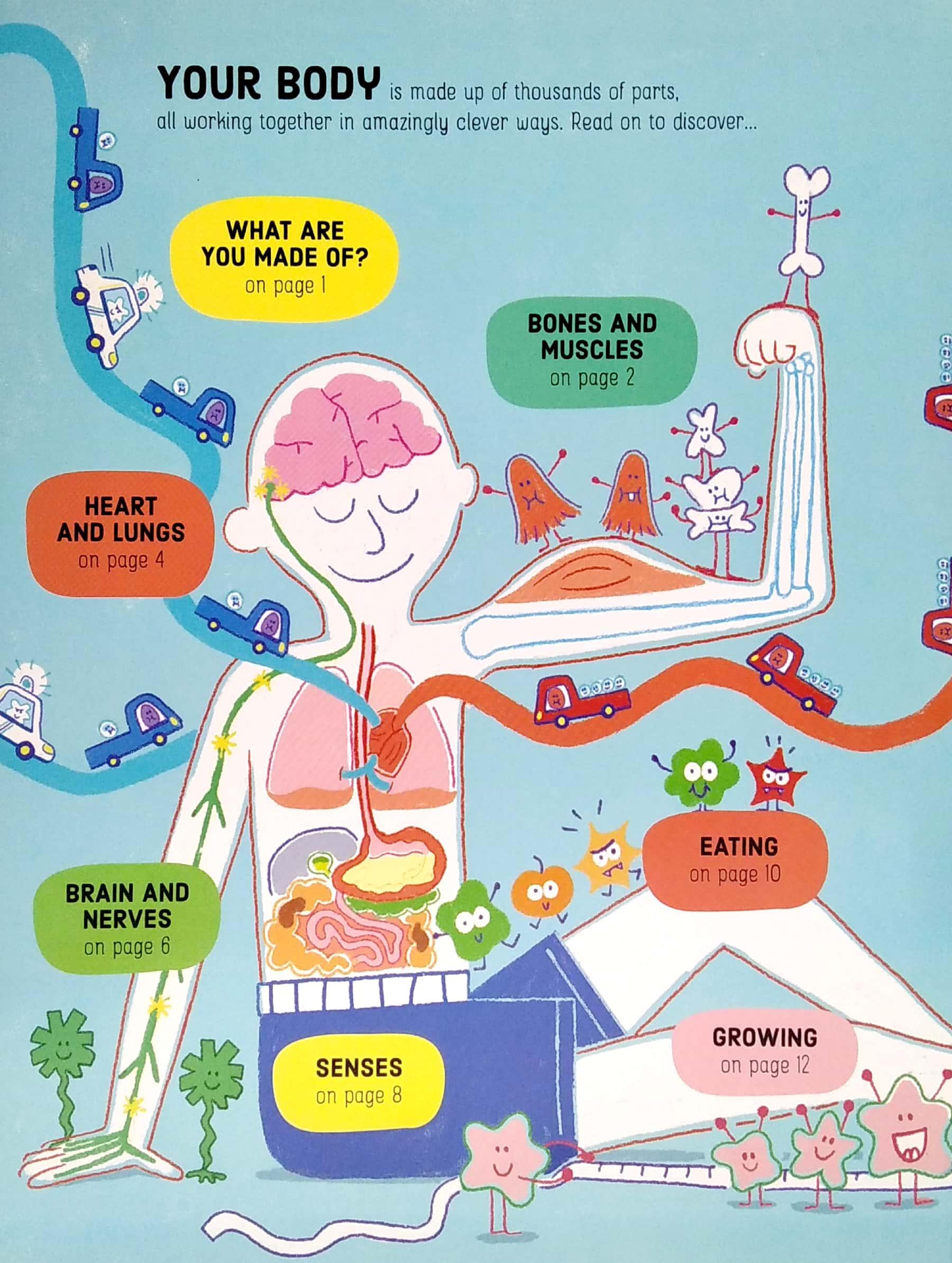 Sách ngoại văn: Lift-the-flap How Your Body Works