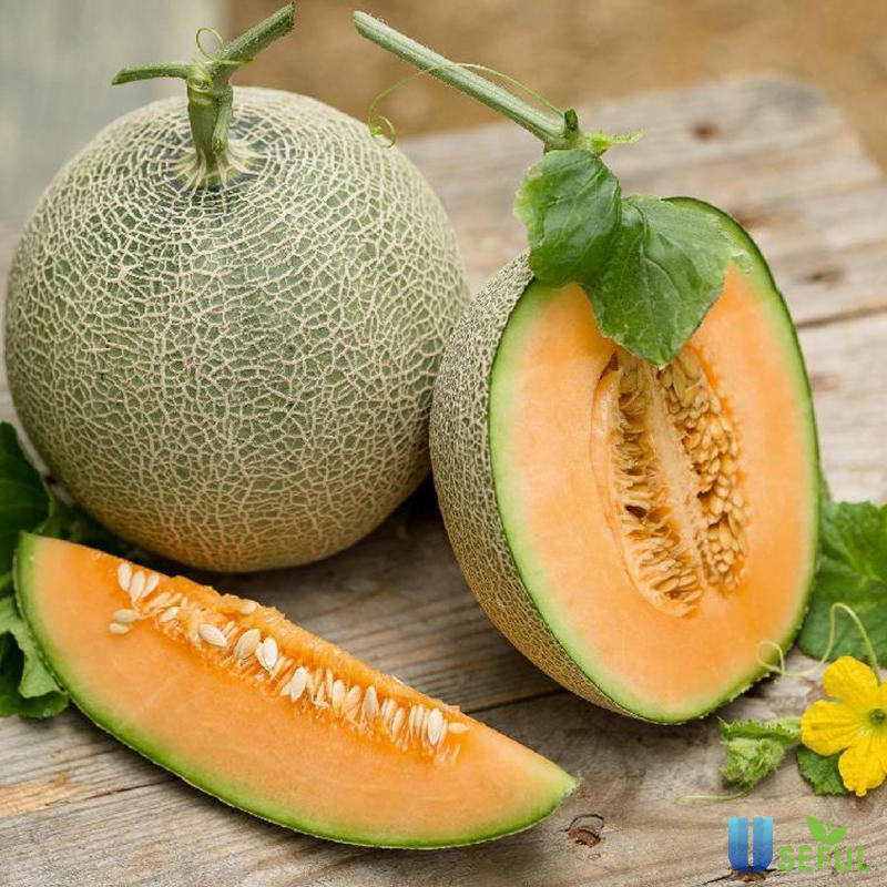 - Dứa lưới  - 1kg