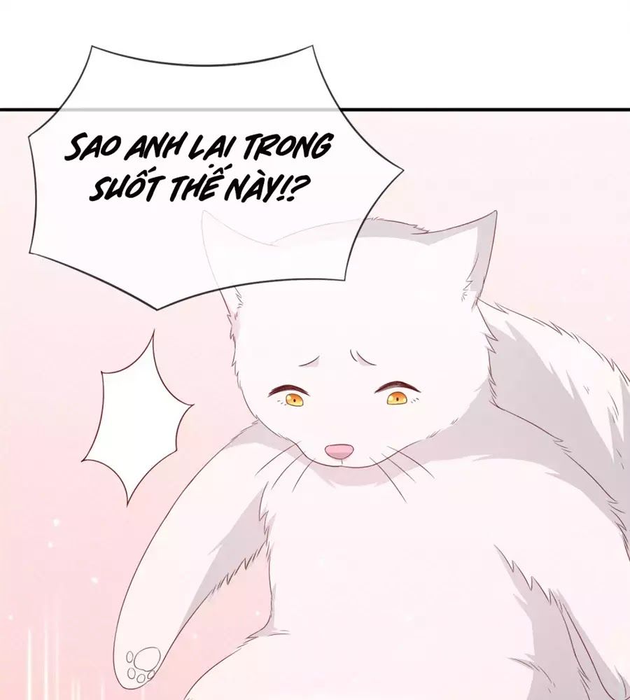 cuộc sống hào môn của vu nữ chapter 39 39