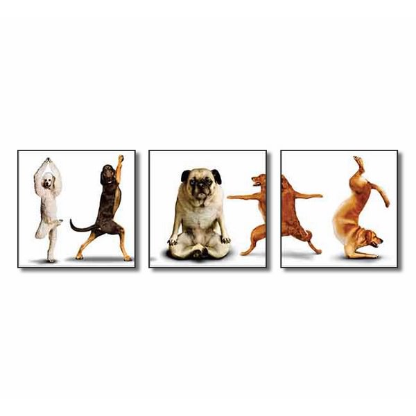 Tranh Động Vật Q6D10 - WK737