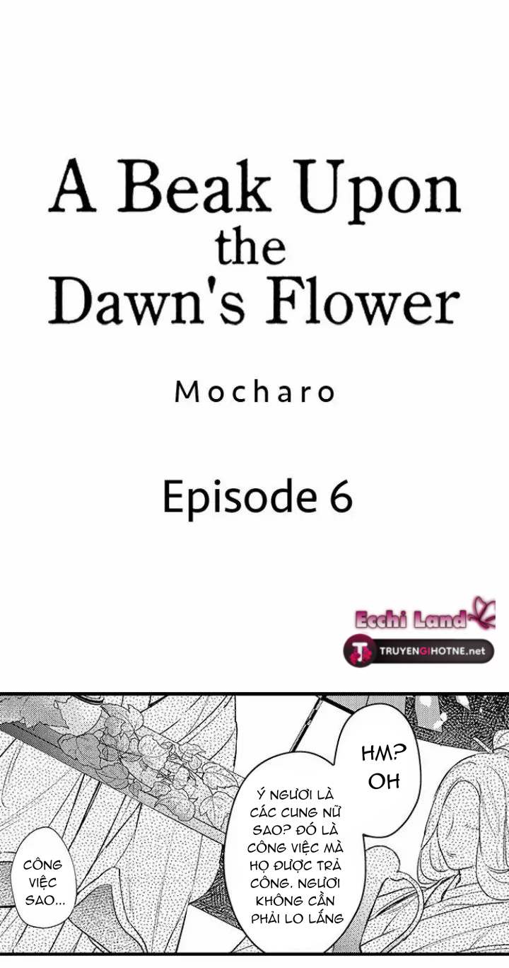 điểu thượng minh hoa chapter 6.1 2