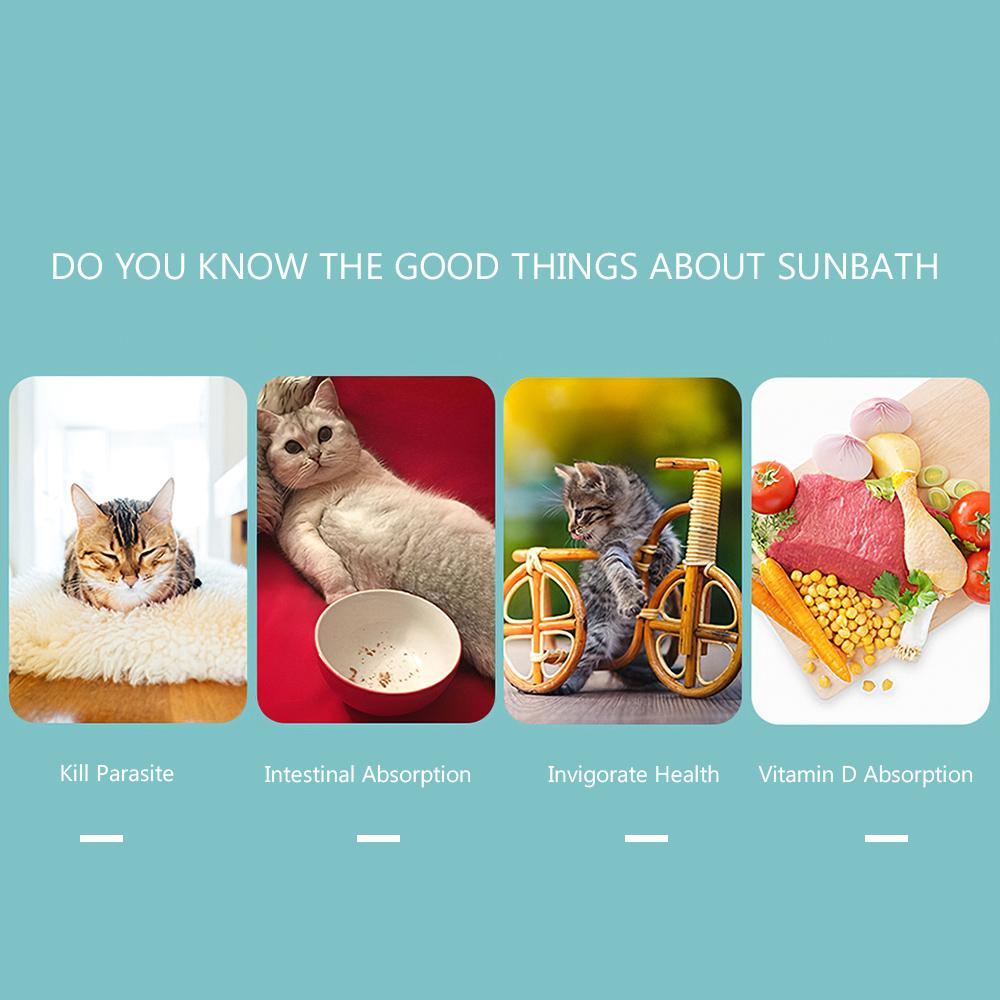 Kệ tắm nắng Giường võng cá rô móc cửa sổ cho mèo