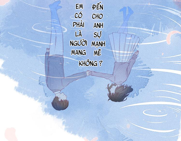 nỗi buồn của hoa cẩm tú cầu chapter 48 56