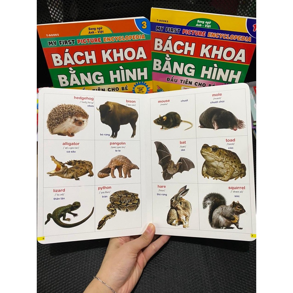 Combo Bách Khoa Bằng Hình Đầu Tiên Cho Bé Theo Chủ Đề - Song ngữ Anh Việt - Quét mã QR nghe đọc