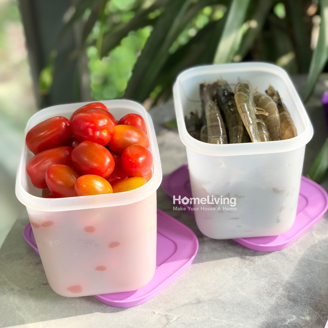 Bộ Trữ Đông Tupperware Freezermate Violet Set 6