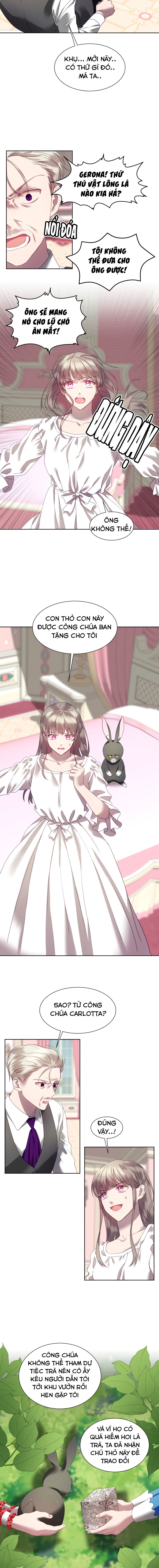 công chúa giả mạo và chú thỏ con chapter 3 2