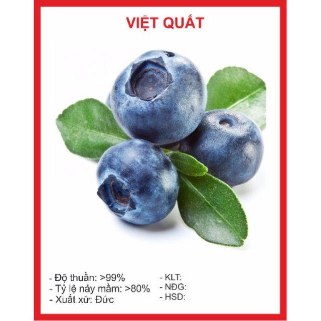 71A Hạt Giống Việt Quất 5 Hạt