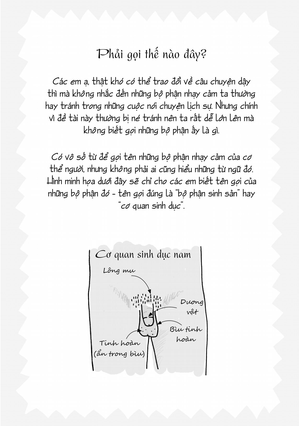 Sách Tuổi Dậy Thì - Từ Cô Bé Đến Cô Nàng + Từ Cậu Bé Đến Anh Chàng