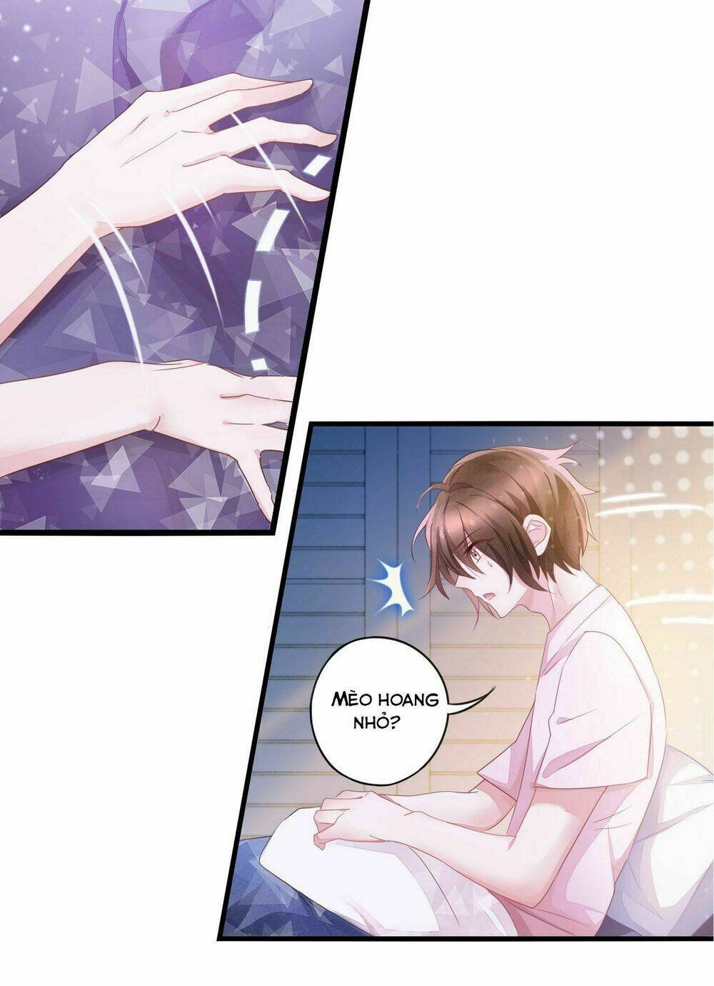 làm mèo của ta chapter 3 16