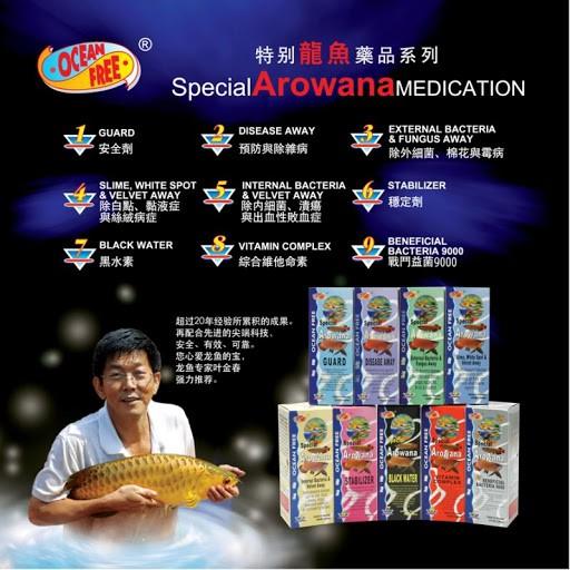 CÁ RỒNG CHAI SỐ 2 OCEAN FREE