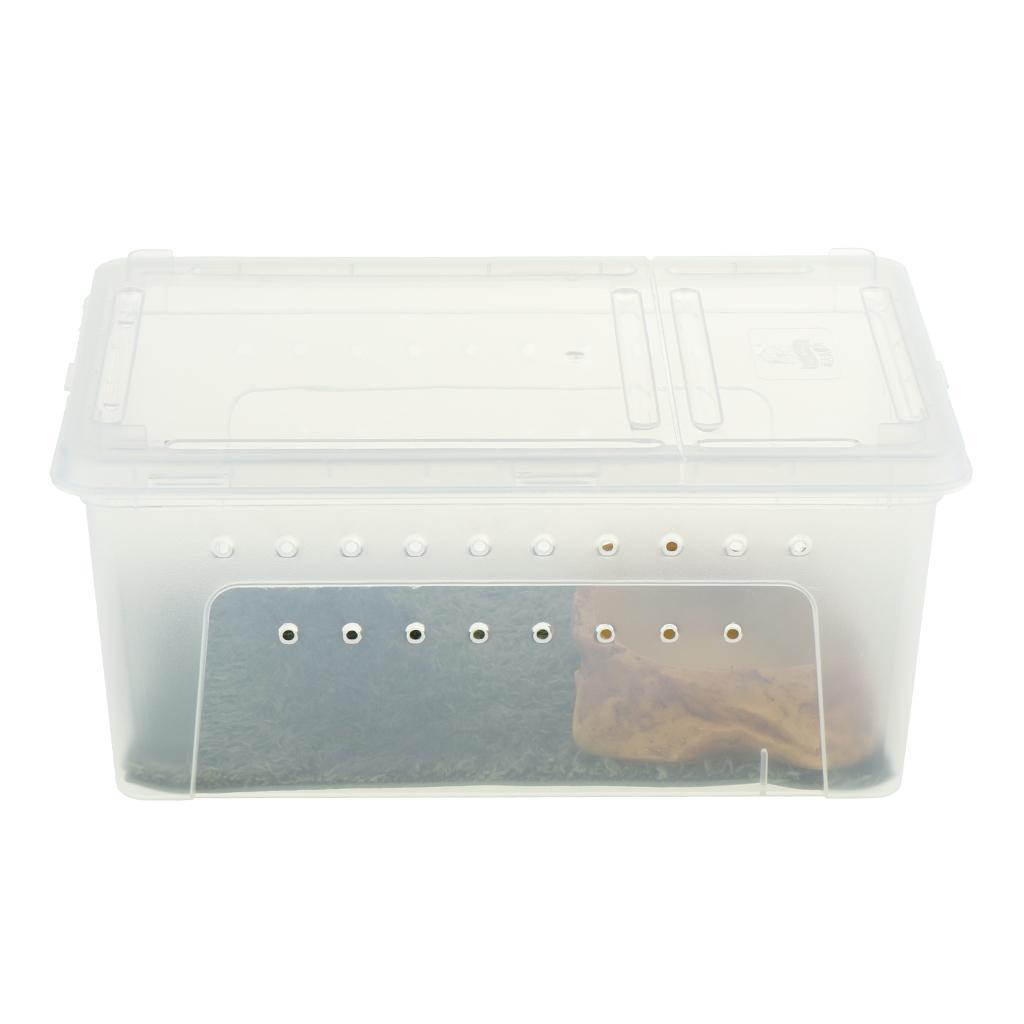 Reptile Amphibian Habitat Terrarium Vivarium Breeding Box