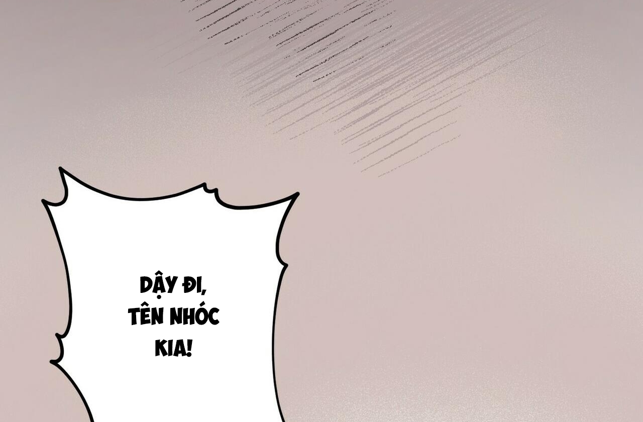 chàng dâu nhà họ kang chapter 9 71