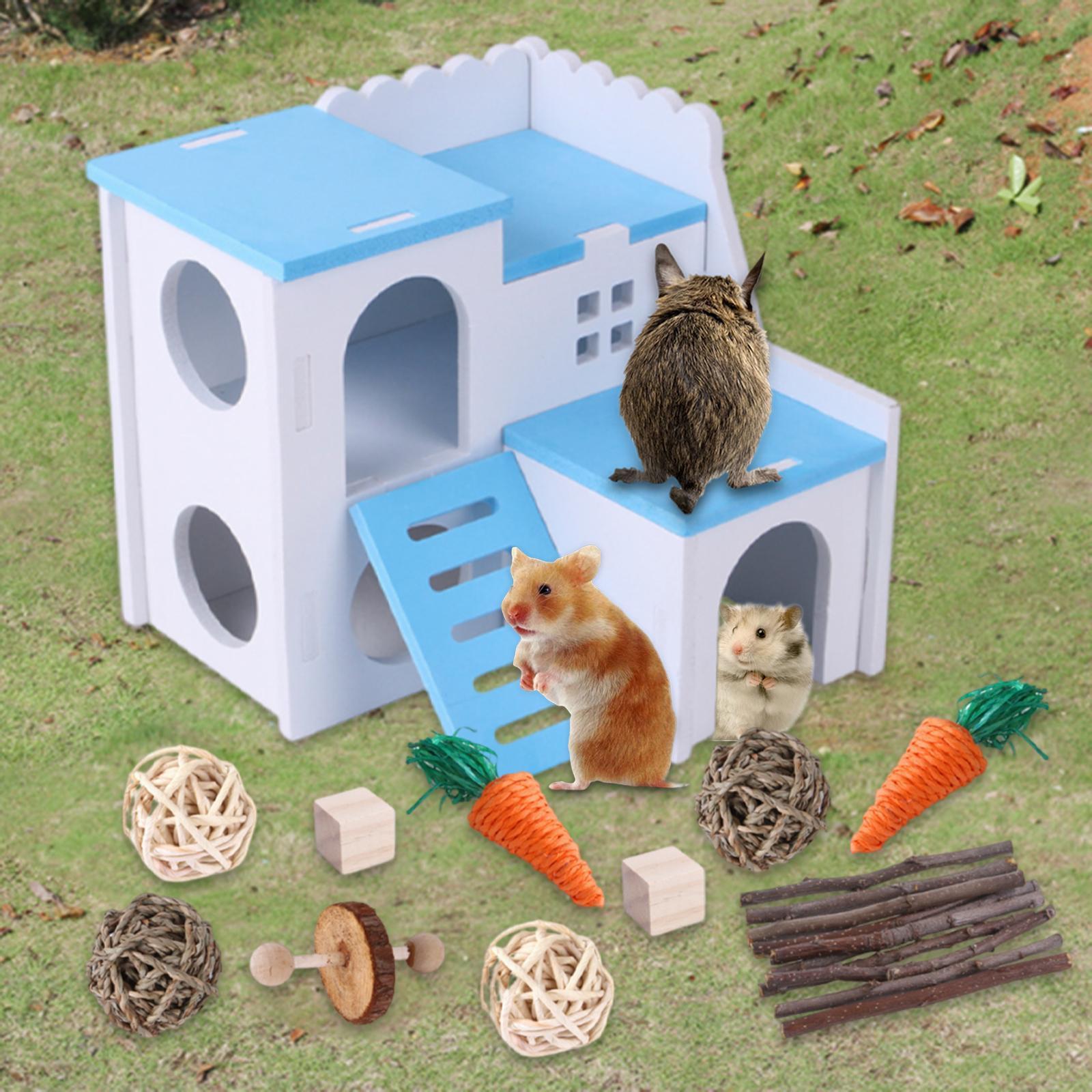 Hamster Chew Toys Wood Branches Small Pet Molar Toys for Parrot Hamster Mice