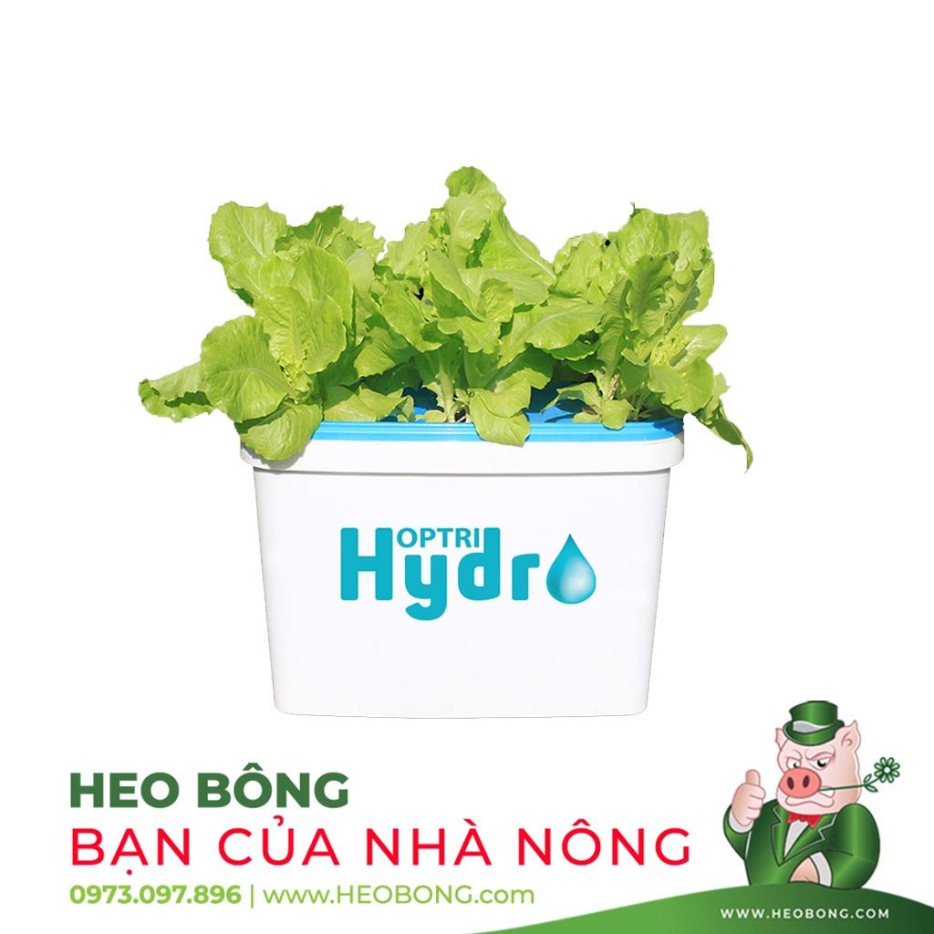 BỘ 10 CÁI - Chậu trồng thuỷ canh rau HỢP TRÍ GROWBOX LEAFY