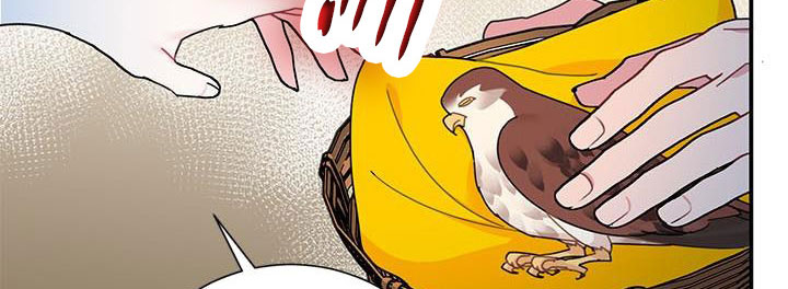 công chúa của loài chim chapter 51.1 277