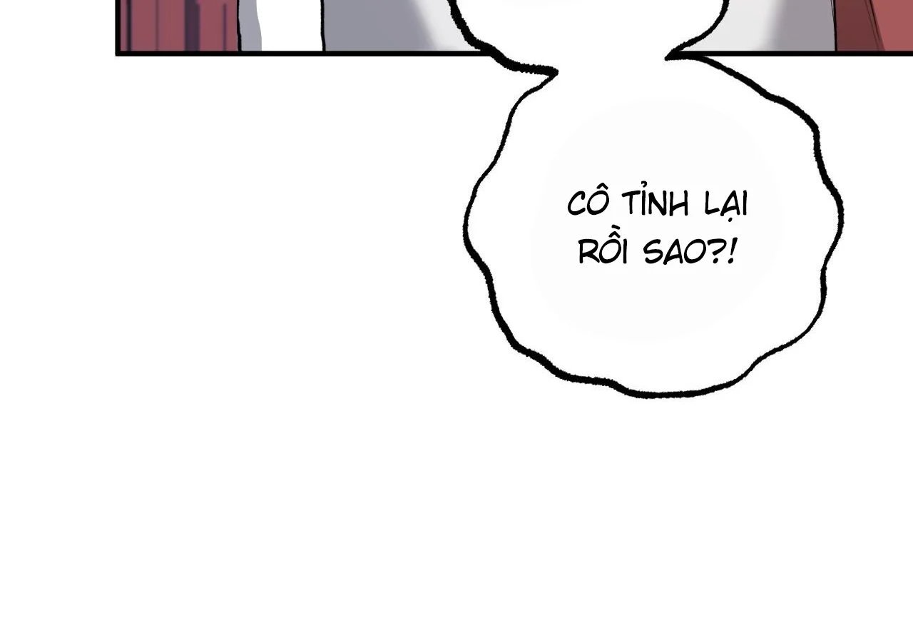 những chú thỏ của hapypy chapter 65 88