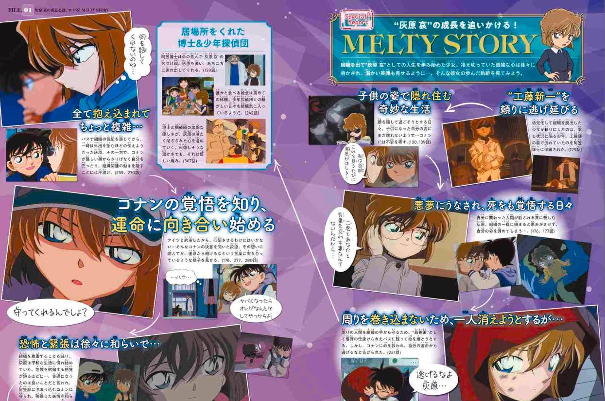 Detective Conan: Secret Archives Ai Haibara (Japanese Edition)