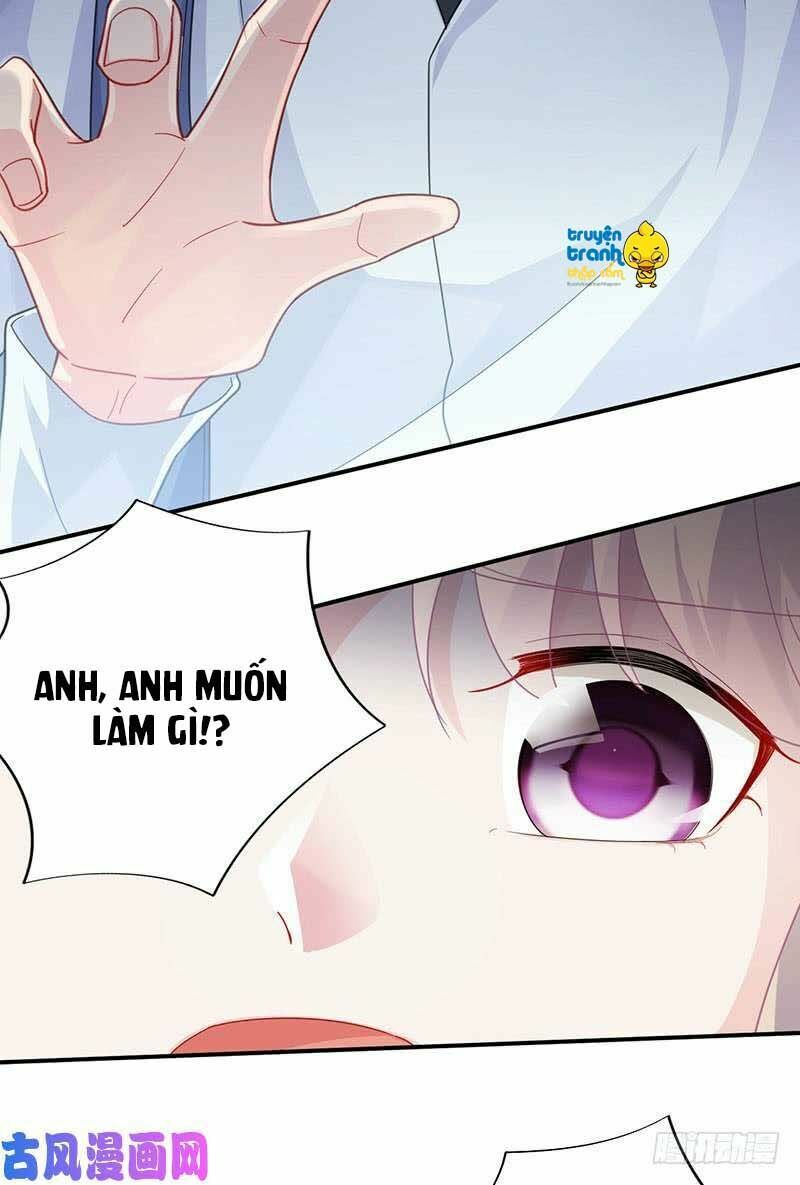 chọc tới chủ tịch tổng tài 2 chapter 106 13