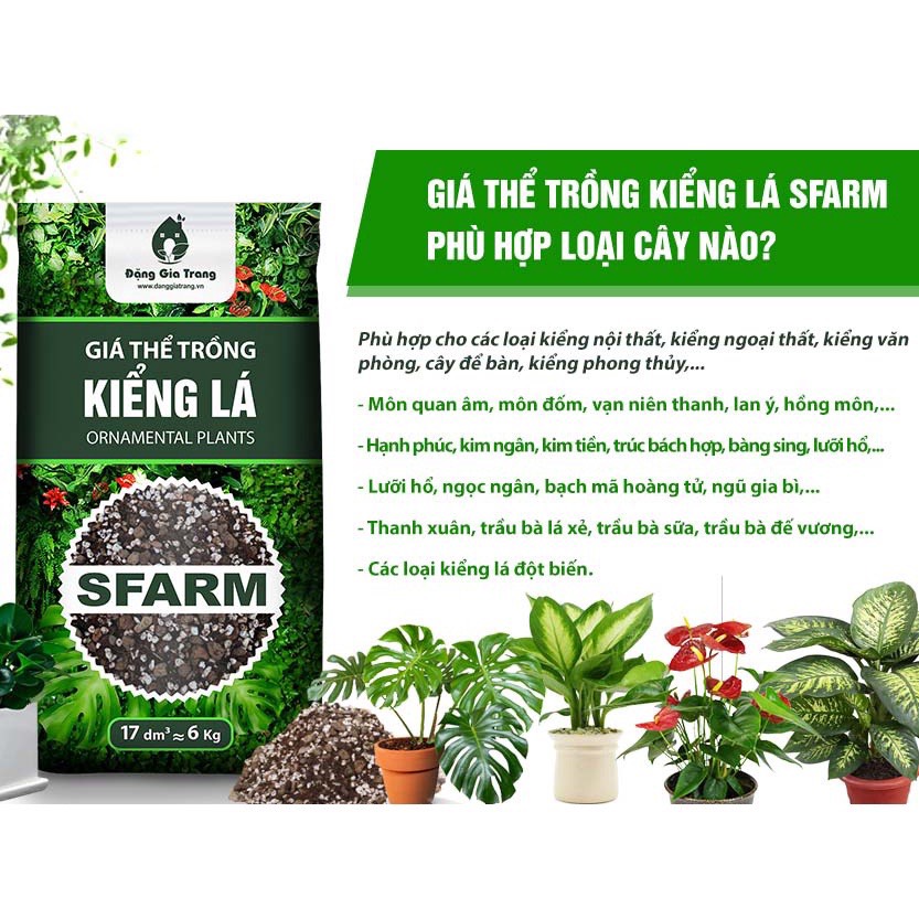 1Kg Giá Thể Trồng Cây Kiểng Lá Sfarm - Đất Hỗn Hợp Trồng Cây Cảnh