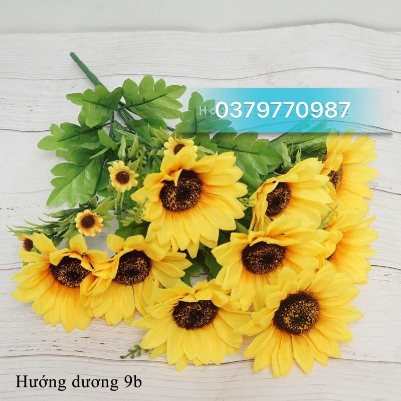 Hoa hướng dương , Bình hoa hướng dương, hàng rào hoa trang trí