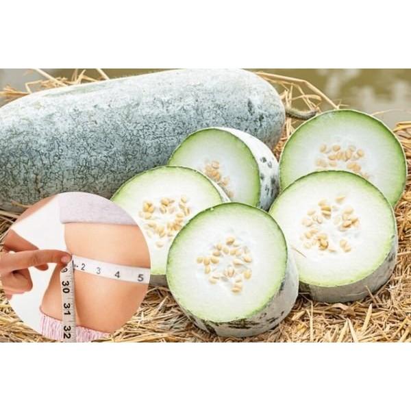 Hạt giống bí đao siêu trái dễ trồng kháng bệnh tốt năng suất cao gói 15 hạt cửa hàng hạt giống uy tín