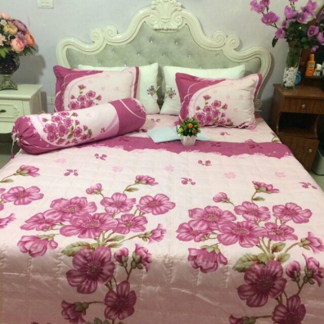 Sét ga phủ, chăn + 2 gối nằm