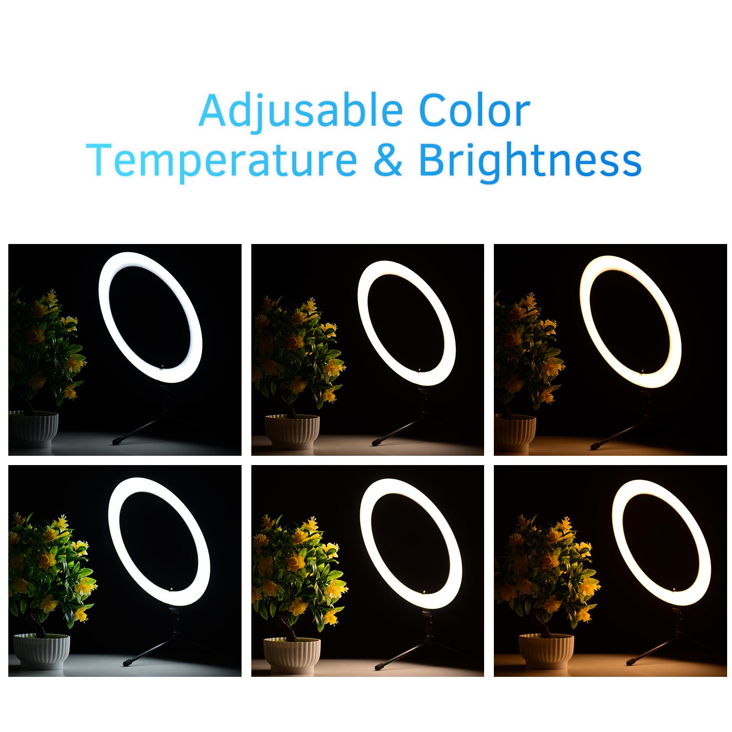 Đèn LED vòng 10 inch Chụp ảnh Đèn chiếu sáng 3 chế độ USB có thể điều chỉnh độ sáng Được hỗ trợ với giá ba chân máy tính để bàn mini để phát trực tiếp