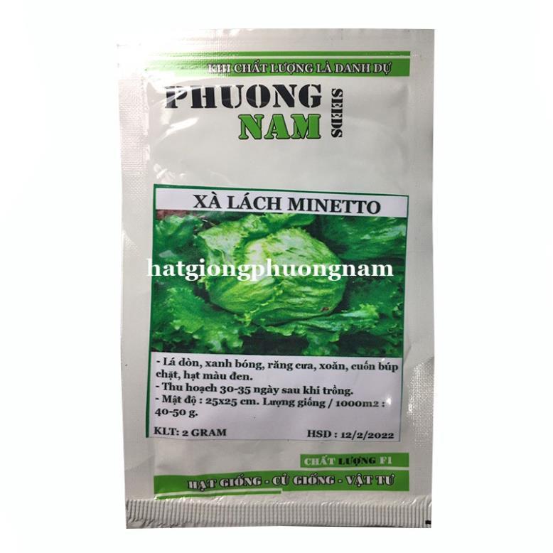 2 GR - HẠT GIỐNG XÀ LÁCH MĨ MINETTO