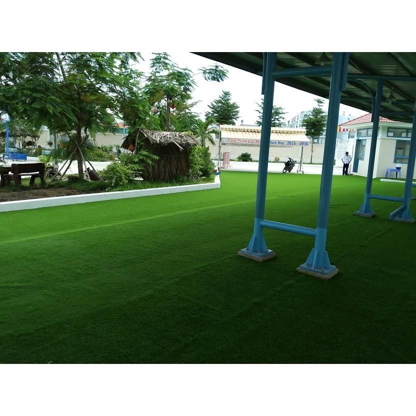 Combo 20 mét vuông thảm cỏ sân vườn sân chơi 2cm