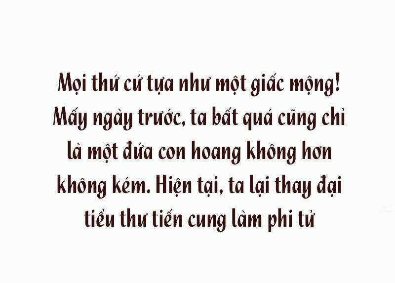 hoàng thái phi cũng muốn yêu chapter 0 5