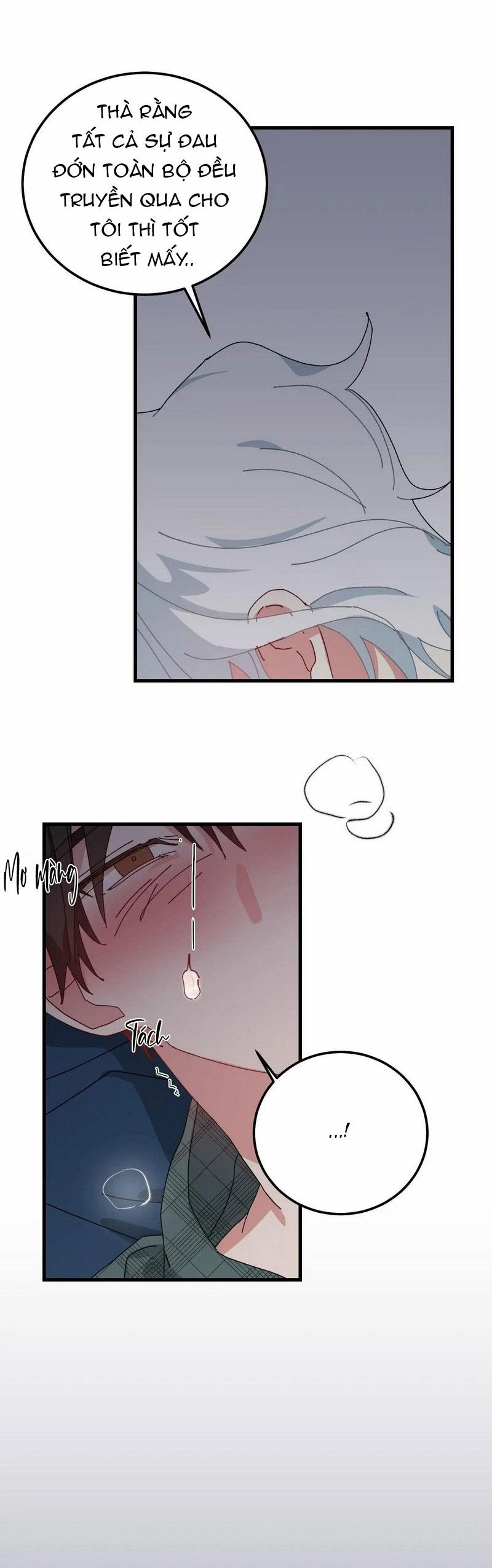 yêu tôi đi, thần hộ mệnh chapter 43 15