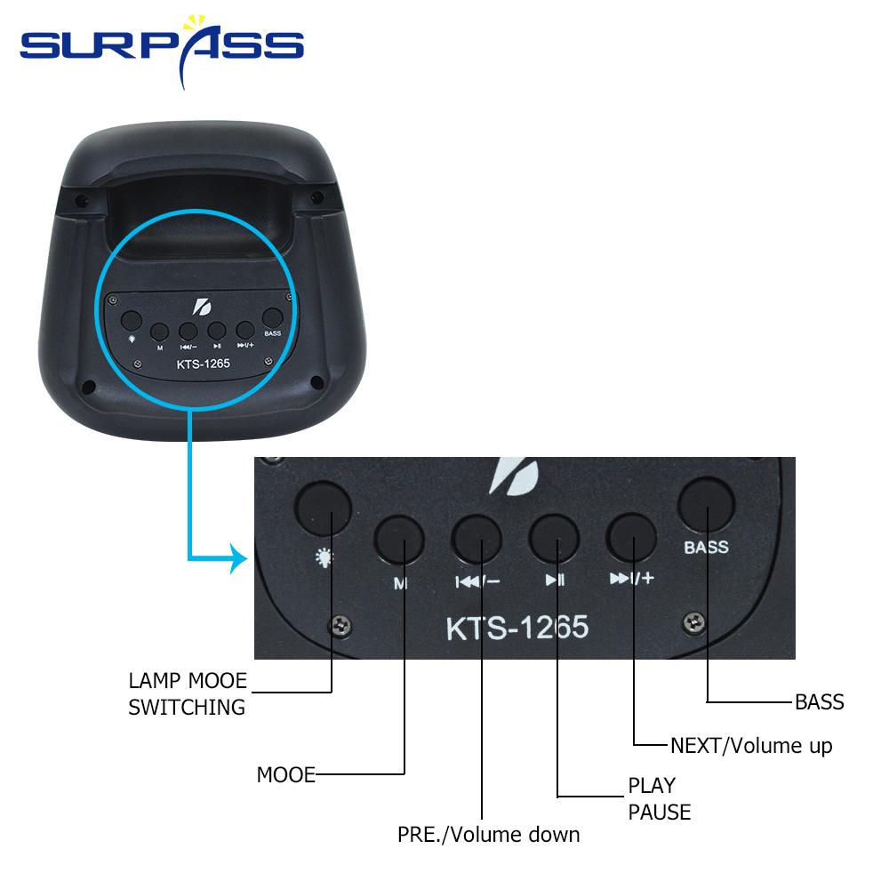 Loa di động Không dây Tương thích Bluetooth Loa ngoài trời Công suất 20W Âm thanh nổi vòm Spk Hỗ trợ Đài FM Thẻ Micro SD Màu sắc: Loa di động
