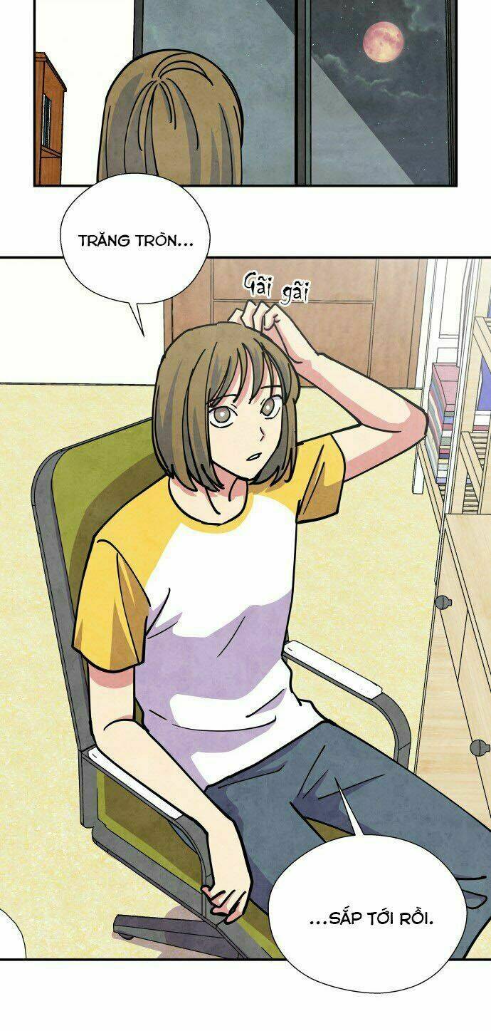 tai sói và mũ đỏ chapter 19 32