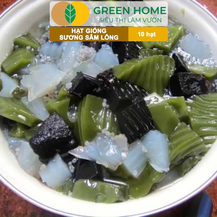 Hạt Giống Sương Sâm Lông GreenHome, Gói 10 hạt, Dễ Trồng Quanh Năm, Lá To, Thu Hoạch Nhanh R26