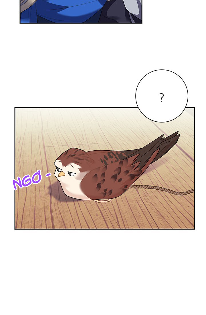 công chúa của loài chim chapter 6 20