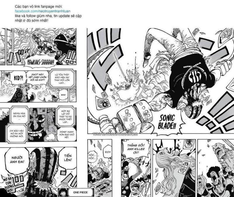 đảo hải tặc - one piece chapter 1029 14