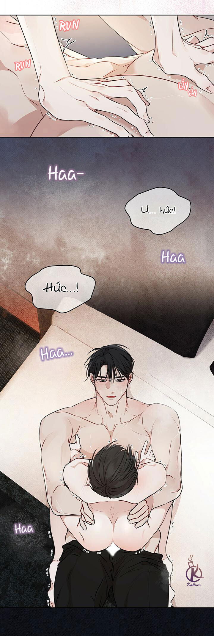 hình thái khởi sinh chapter 28 11